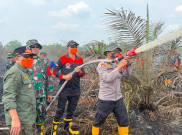 BMKG Catat 478 Titik Panas, Sumatera Selatan Tertinggi