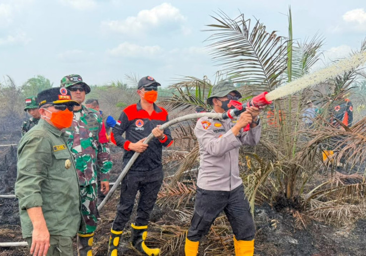 BMKG Catat 478 Titik Panas, Sumatera Selatan Tertinggi