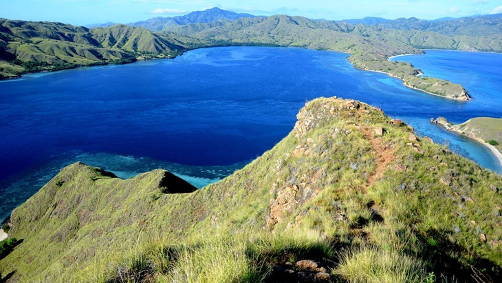 Pulau Komodo Dijadikan Destinasi Wisata Eksklusif