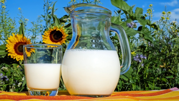 Susu (Foto: Pixabay/Couleur)