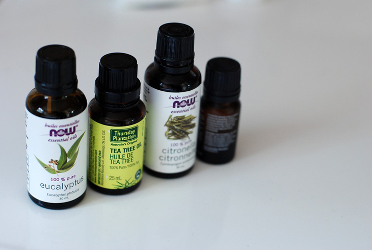 Mengulik Manfaat Tea Tree Oil, Barang Wajib Meghan Markle saat Traveling