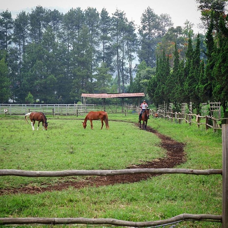 Berkuda di De Ranch Lembang. (Foto: instagram.com/srirusma)