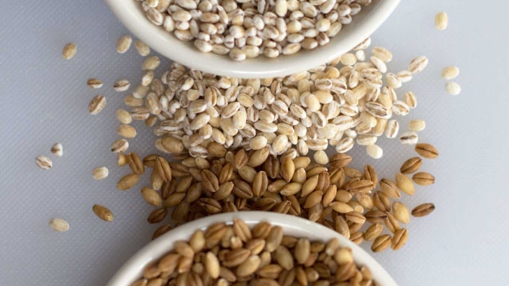 Beragam Manfaat Barley untuk Kesehatan