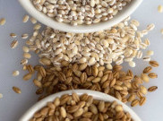 Beragam Manfaat Barley untuk Kesehatan