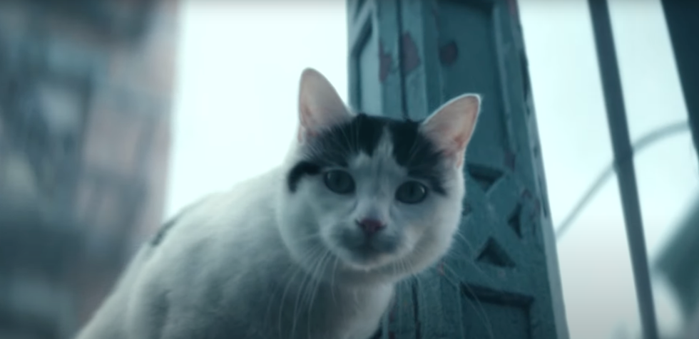 Sutradara Ungkap Alasan Kucing di 'A Quiet Place: Day One' Tak Bersuara