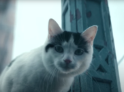 Sutradara Ungkap Alasan Kucing di 'A Quiet Place: Day One' Tak Bersuara