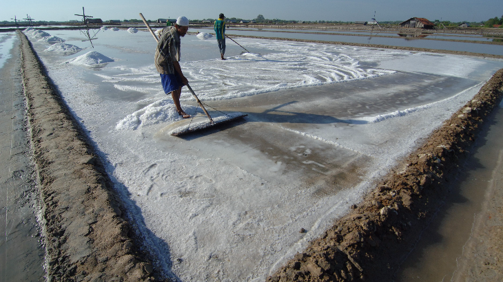 Harga Garam Meroket, Di Jember Tembus Rp 16 Ribu per Kilogram