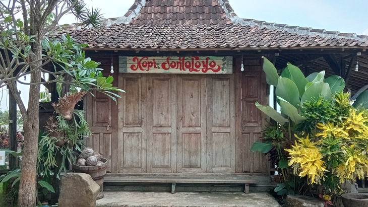 sontoloyo