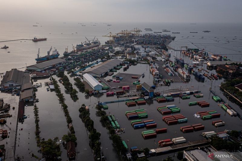 Tanam Bakau Bisa Perlambat Banjir Rob di Pantura Jawa