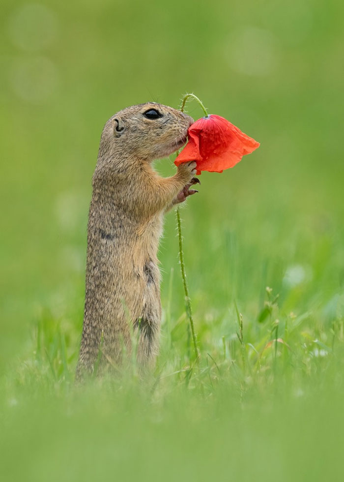 Foto van Duijn