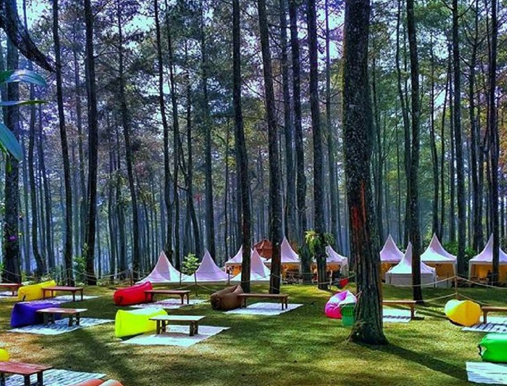 orchid forest cikole