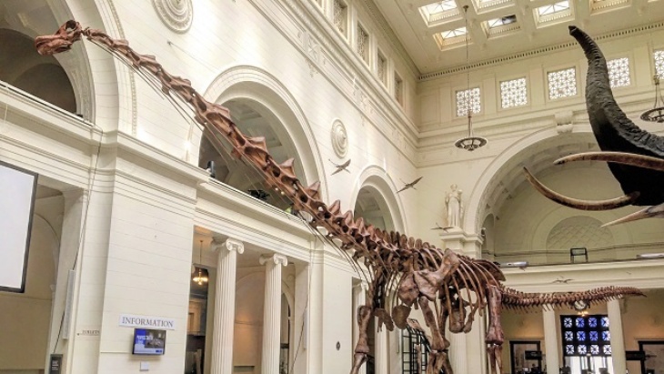 Fosil Dinosaurus Terbesar di Dunia Dipamerkan di Museum London