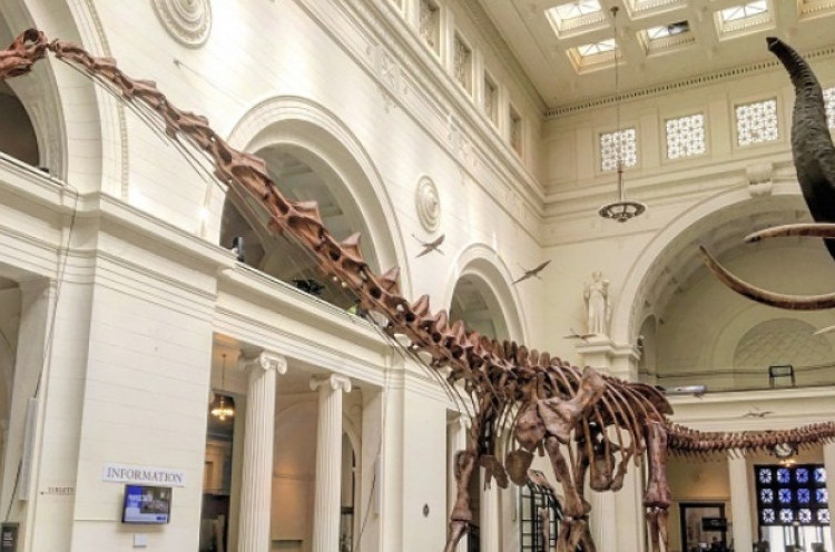 Fosil Dinosaurus Terbesar di Dunia Dipamerkan di Museum London