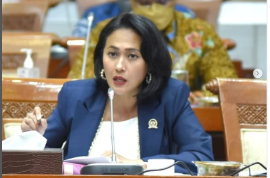 DPR Minta Kemenlu Bertindak Tegas pada Maraknya WNA yang Bekerja di Bali