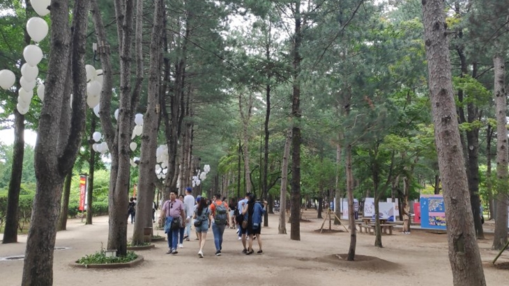 Wisatawan mengunjungi Nami Island, Korea Selatan, saat musim panas. (ANTARA News/Natisha Andarningtyas)
