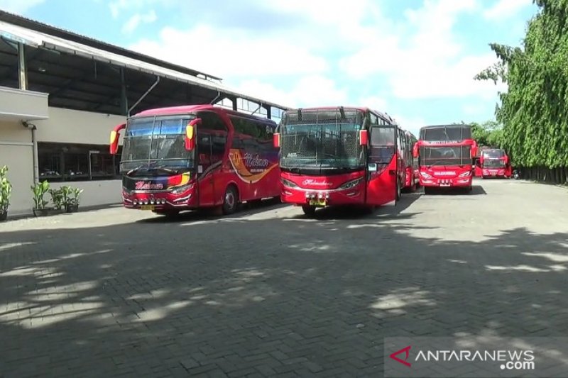 Pemerintah Pusat Diwanti-wanti Cegah Kebangkrutan Bisnis Transportasi