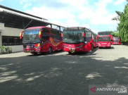 Pemerintah Pusat Diwanti-wanti Cegah Kebangkrutan Bisnis Transportasi