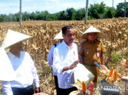 Jokowi Hormati Keputusan MK, Saatnya Bersatu Bangun Negara