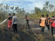 Kebakaran Hutan dan Lahan di Kalimantan Selatan Mencapai 233 Hektare