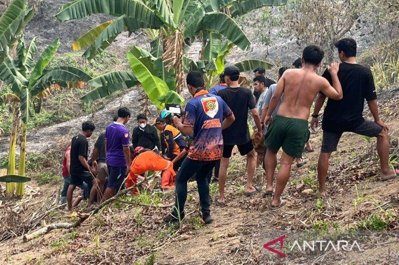 Tragedi Karhutla Samarinda Pencabut Nyawa! Lansia 60 Tahun Tewas Terpanggang Saat Bantu Padamkan Api