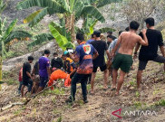 Tragedi Karhutla Samarinda Pencabut Nyawa! Lansia 60 Tahun Tewas Terpanggang Saat Bantu Padamkan Api