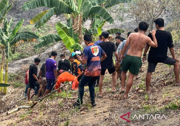 Tragedi Karhutla Samarinda Pencabut Nyawa! Lansia 60 Tahun Tewas Terpanggang Saat Bantu Padamkan Api