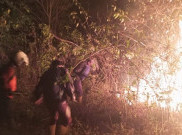 Kebakaran di Lereng Gunung Merbabu Berhasil Dijinakkan