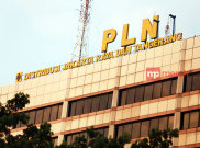 Kembangkan Energi Terbarukan, PLN Tandatangani Kesepakatan dengan Prancis 