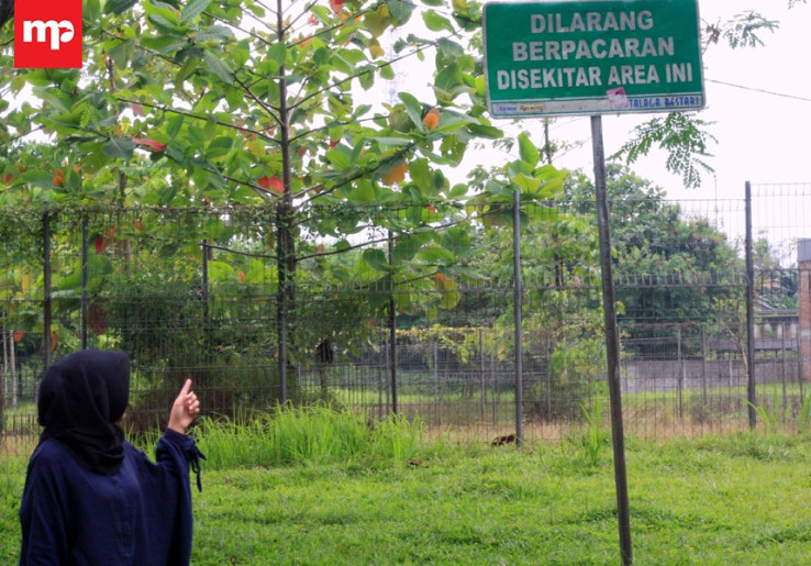 Ahay, Talaga Bestari Jungle Walk Jadi Tempat Favorit untuk Pacaran