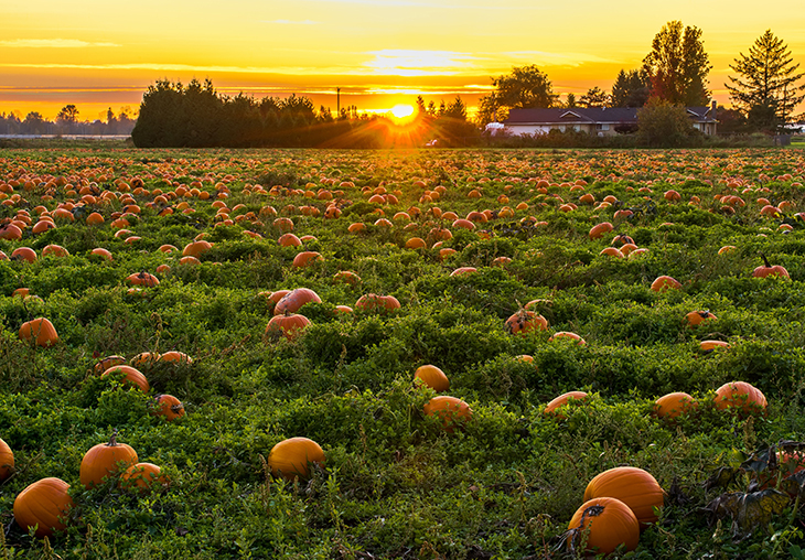decker farm