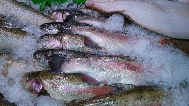 Ikan trout  yang dibekukan dalam es. (Foto: Pixabay/PublicDomainPictures)