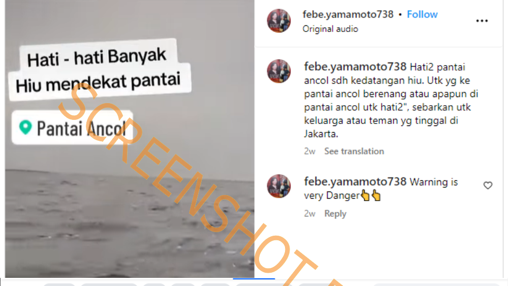 [HOAKS atau FAKTA]: Hati-Hati Berkunjung ke Pantai Ancol, Ikan Hiu Berkeliaran