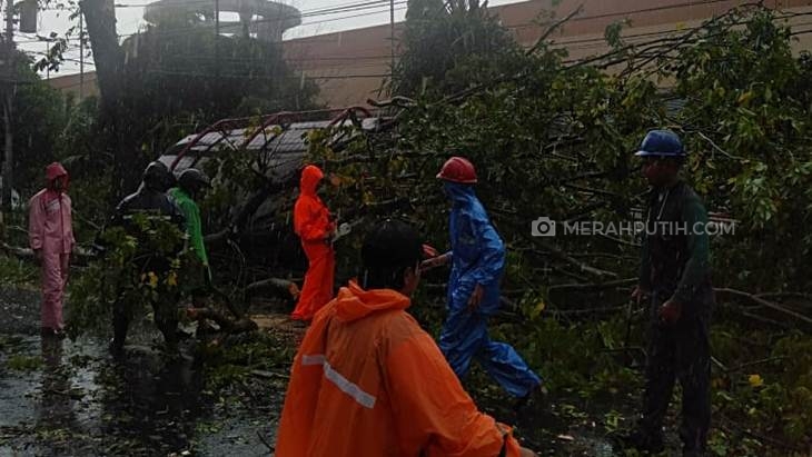 Pohon Tumbang Timpa Halte, Dua Siswa SMP Sedang Berteduh Luka-luka