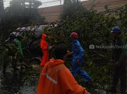 Pohon Tumbang Timpa Halte, Dua Siswa SMP Sedang Berteduh Luka-luka