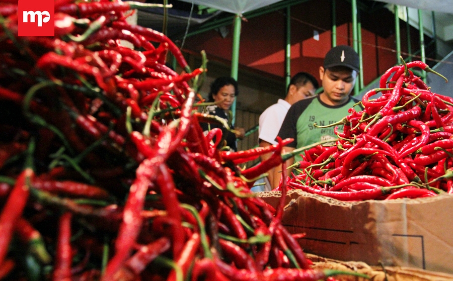 Waduh, Harga Cabai Terus Meroket