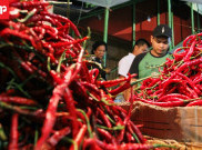Waduh, Harga Cabai Terus Meroket