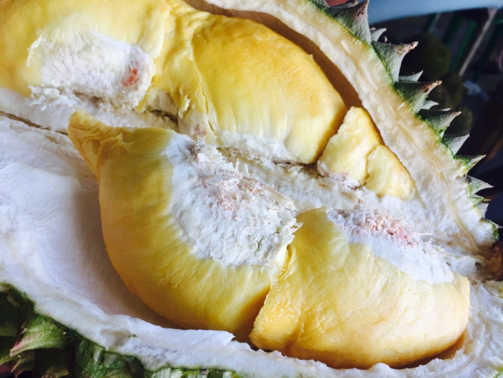 Kulit durian tidak disukai oleh tikus. (Foto: Unsplash/Gliezl Bancal)