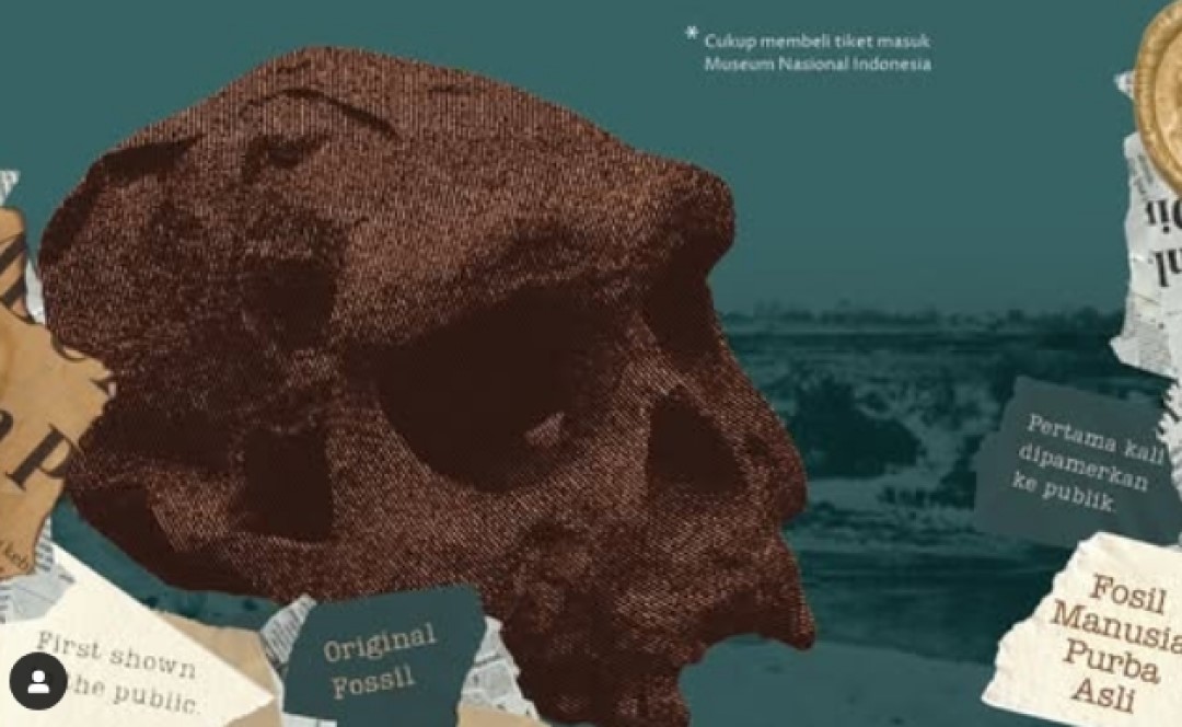 Jelajah Peninggalan Purba Indonesia di Pameran '130 Tahun Setelah Pithecanthropus erectus'