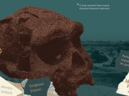 Jelajah Peninggalan Purba Indonesia di Pameran '130 Tahun Setelah Pithecanthropus erectus'