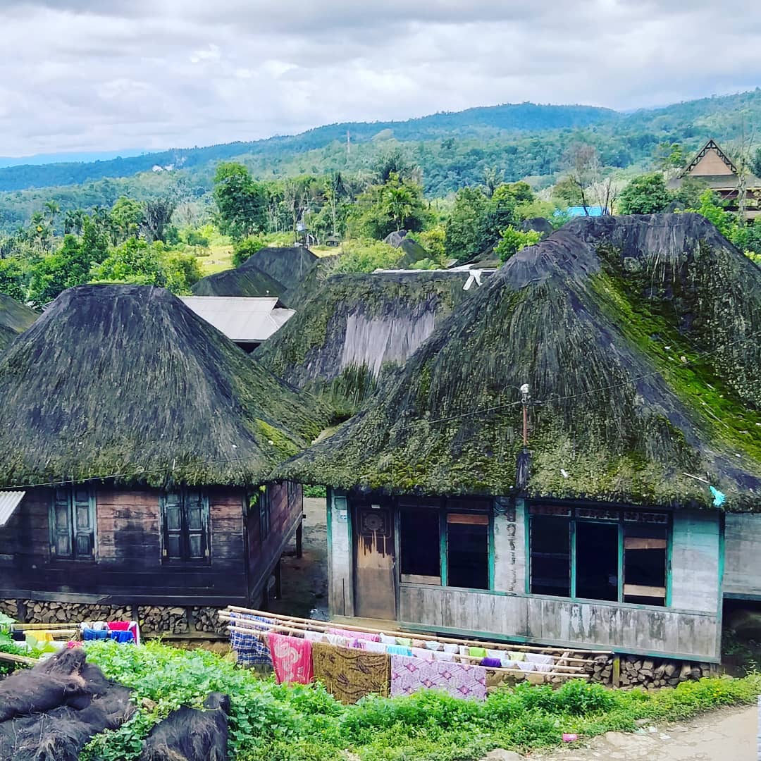 Rumah adat beratap ijuk. (Instagram/@gabe.daniel)