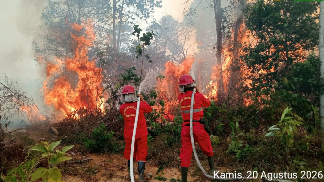 29 Ribu Hektare Lahan Terbakar, Korporasi Tersangka Karhutla Terancam Denda Rp 15 Miliar