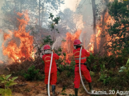 29 Ribu Hektare Lahan Terbakar, Korporasi Tersangka Karhutla Terancam Denda Rp 15 Miliar