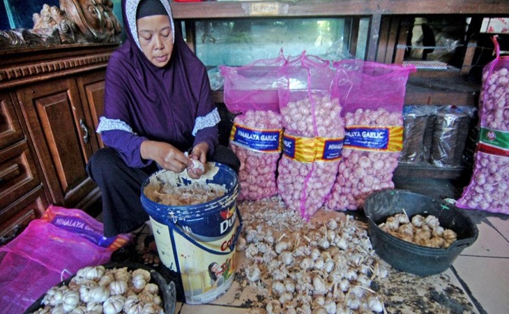 Pedagang Prediksi Harga Bawang Putih Sulit Ditekan Meski Keran Impor Dibuka