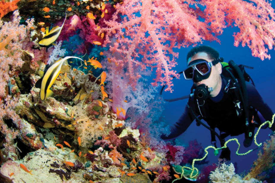 Hobi Menyelam? Lihat Taman Bawah Laut Terbesar di Dunia