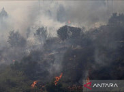 Kebakaran Hutan Chile Renggut 131 Nyawa