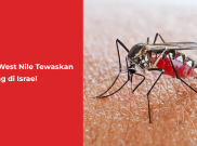 Virus West Nile Tewaskan 8 Orang di Israel