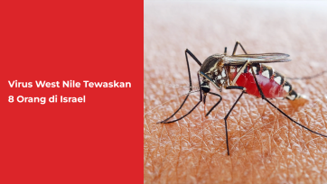 Virus West Nile Tewaskan 8 Orang di Israel