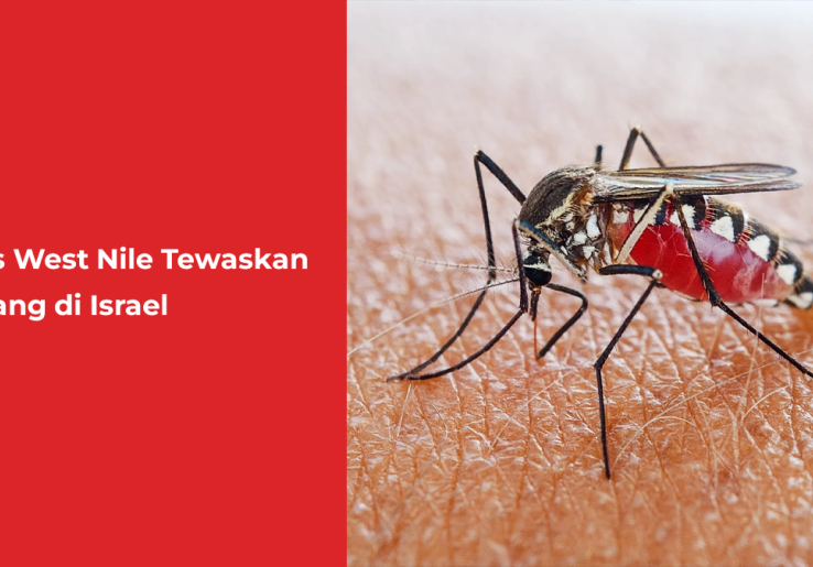 Virus West Nile Tewaskan 8 Orang di Israel