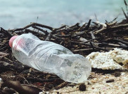 Bahaya Mikroplastik untuk Manusia