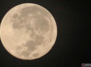 Besok Rabu Malam Supermoon Terbesar 2025, Banjir Rob Intai Kawasan Pesisir Indonesia